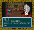 Record of Lodoss War (snes)