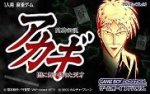ROM Akagi