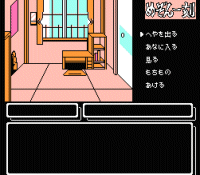 Maison Ikkoku (nes)