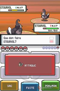 Pokemon Diamant (ds)