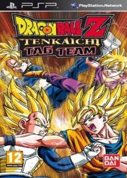 ROM FR DragonBall Z Tenkaichi Tag Team download