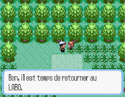 Pokemon Saphir (gba)