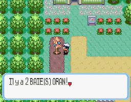 Pokemon Saphir (gba)