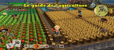 Dragon Quest Builders 2 – Le guide de toutes les graines